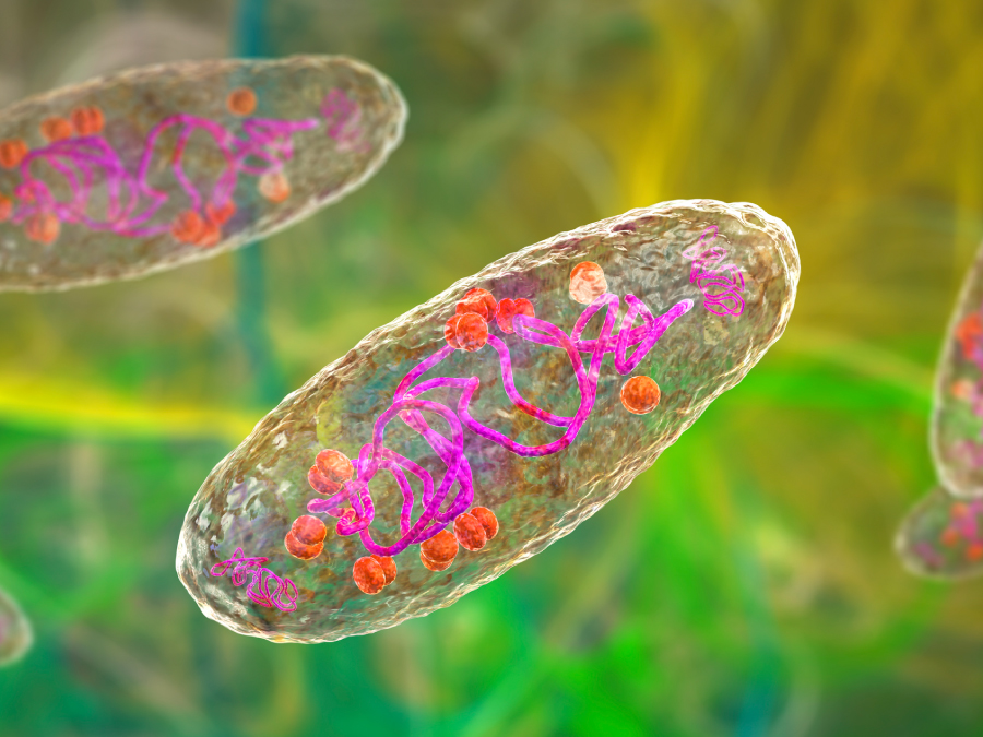 The figure is a three-dimensional rendering of plague bacterium Yersinia pestis.