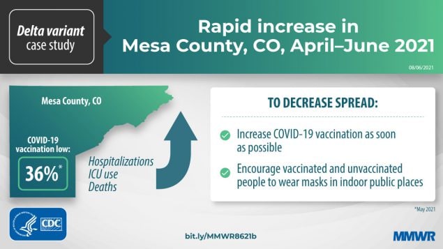 The figure is a graphic with text describing the rapid spread of COVID-19 Delta variant cases in Mesa County, Colorado. 
