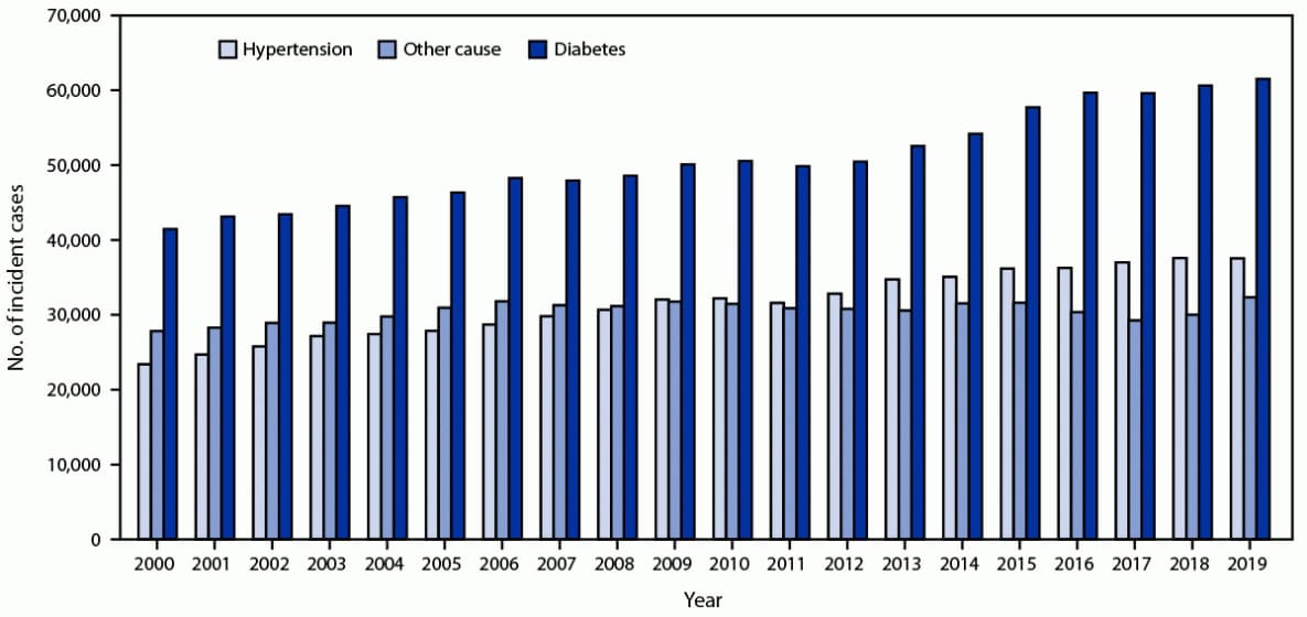 This figure is a histogram showing the number of reported incident cases of end-stage kidney disease by primary cause in the United States during 2000–2019.