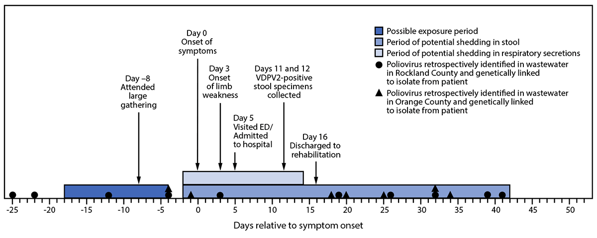 This figure is a timeline of patient activities, potential poliovirus exposures, shedding, and poliovirus-positive wastewater samples genetically linked to a patient with a case of type 2 vaccine-derived poliovirus in New York during May–August 2022.