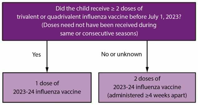 Prevention and Control of Seasonal Influenza with Vaccines: Recommendations of the Advisory Committee on Immunization Practices — United States, 2023–24 Influenza Season Figure is a flowchart from the Advisory Committee on Immunization Practices that illustrates the influenza dosing algorithm for U.S. children aged 6 months through 8 years for the 2023–24 influenza season.