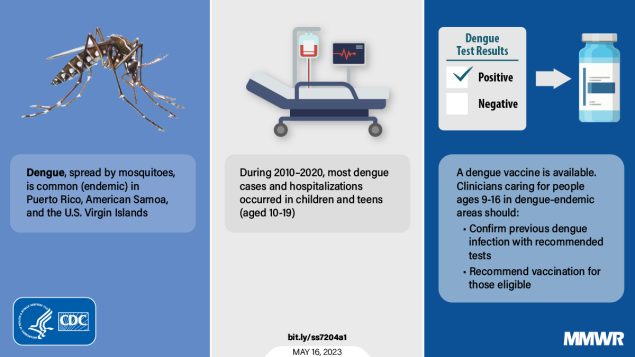 The figure has three panels with pictures of a mosquito, hospital bed, and dengue positive test results and a medicine vial.