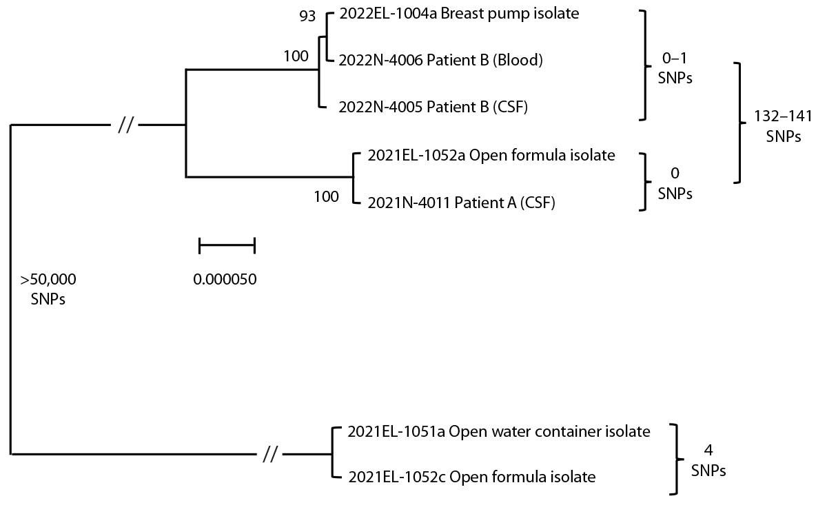 Cronobacter sakazakii Infections in Two Infants Linked to Powdered Infant Formula and Breast Pump Equipment — United States, 2021 and 2022 Figure is a chart showing a maximum likelihood phylogeny from high quality single nucleotide polymorphism analysis of C. sakazakii patient A and B isolates and environmental isolates.