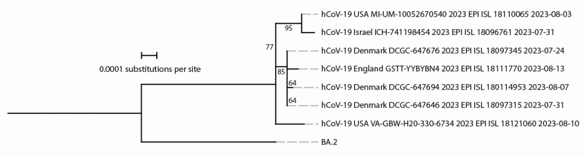 Notes from the Field: Early Identification of the SARS-CoV-2 Omicron BA.2.86 Variant by the Traveler-Based Genomic Surveillance Program — Dulles International Airport, August 2023 The figure is a phylogenetic tree indicating the phylogeny of SARS-CoV-2 Omicron BA.2.86 samples available on Global Initiative on Sharing All Influenza Data as of August 21, 2023, containing seven genomes, and ancestral BA.2 sequences.