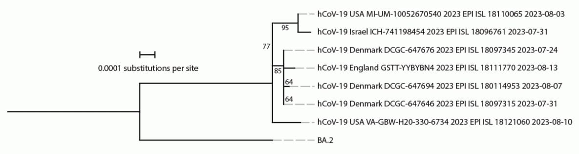 The figure is a phylogenetic tree indicating the phylogeny of SARS-CoV-2 Omicron BA.2.86 samples available on Global Initiative on Sharing All Influenza Data as of August 21, 2023, containing seven genomes, and ancestral BA.2 sequences.