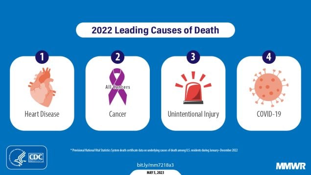 The figure is a graphic with illustrations representing the leading causes of death in 2022.