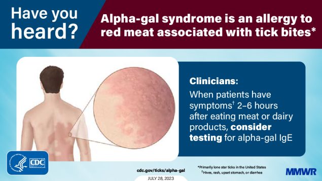 The figure is a graphic with an illustration of a rash on a person’s back with text about alpha-gal syndrome.