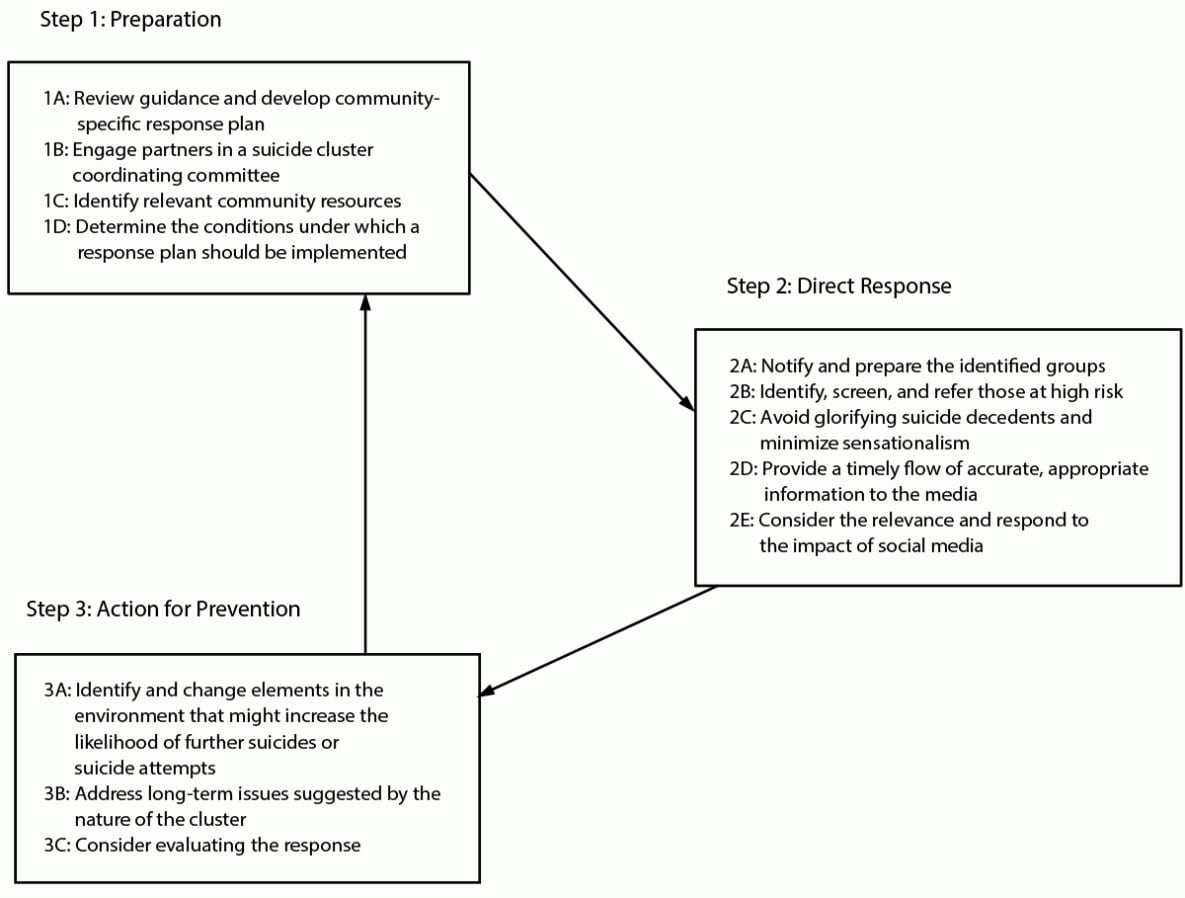 Figure illustrates the steps in a community suicide cluster response according to CDC guidance updated in 2024. The steps are preparation, direct response, and action for prevention.
