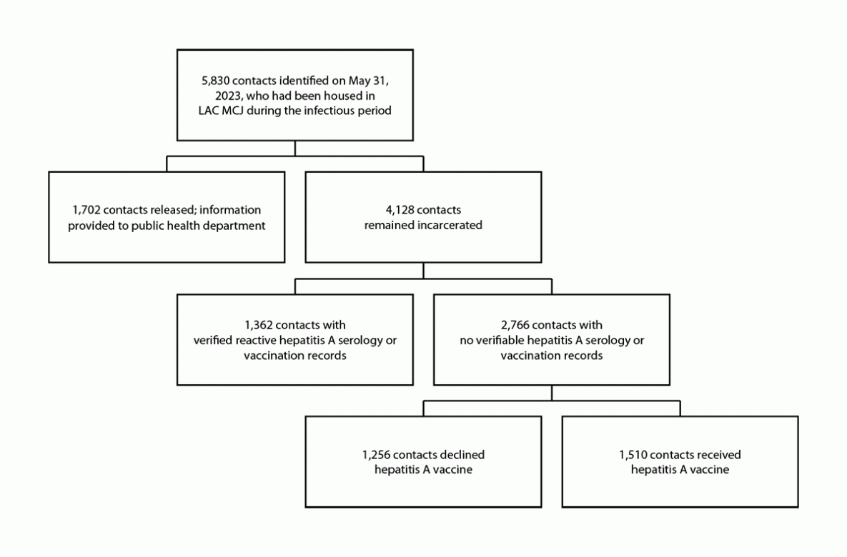Hepatitis A Exposure Response and Outbreak Prevention in a Large Urban Jail — Los Angeles County, California, May–July 2023 The figure is a flowchart illustrating the identification of contacts at Los Angeles County Men’s Central Jail who were eligible to receive postexposure prophylaxis hepatitis A vaccine in Los Angeles County, California, during May–July 2023.