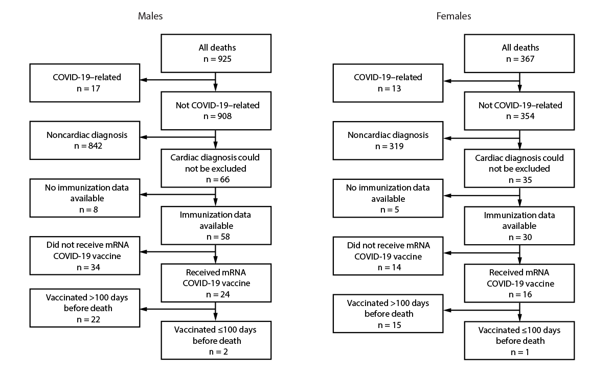 Assessment of Risk for Sudden Cardiac Death Among Adolescents and Young Adults After Receipt of COVID-19 Vaccine — Oregon, June 2021–December 2022 The figure comprises two flowcharts showing deaths among persons aged 16–30 years, by sex, cause of death, and mRNA COVID-19 vaccination status, (N = 1,292) in Oregon during June 2021–December 2022.