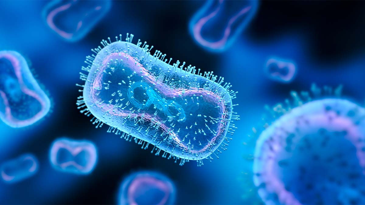 Mpox Outbreak 2025 California Zaujimavosti Tamar Fernande