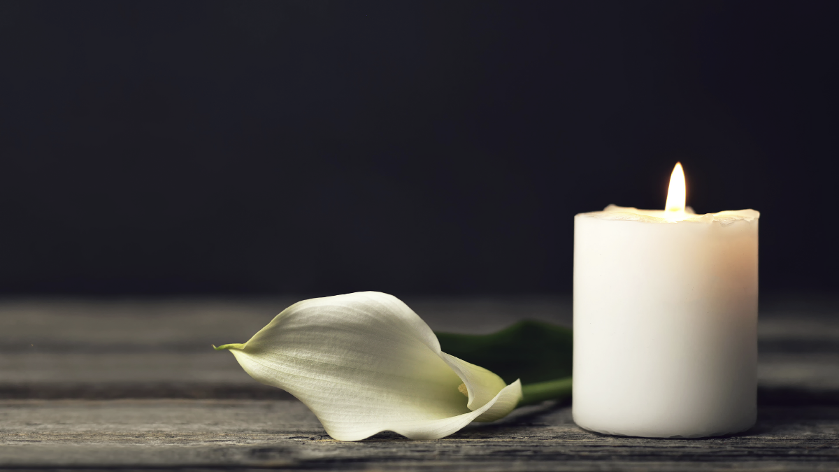 Mortality in the United States — Provisional Data, 2023 | MMWR