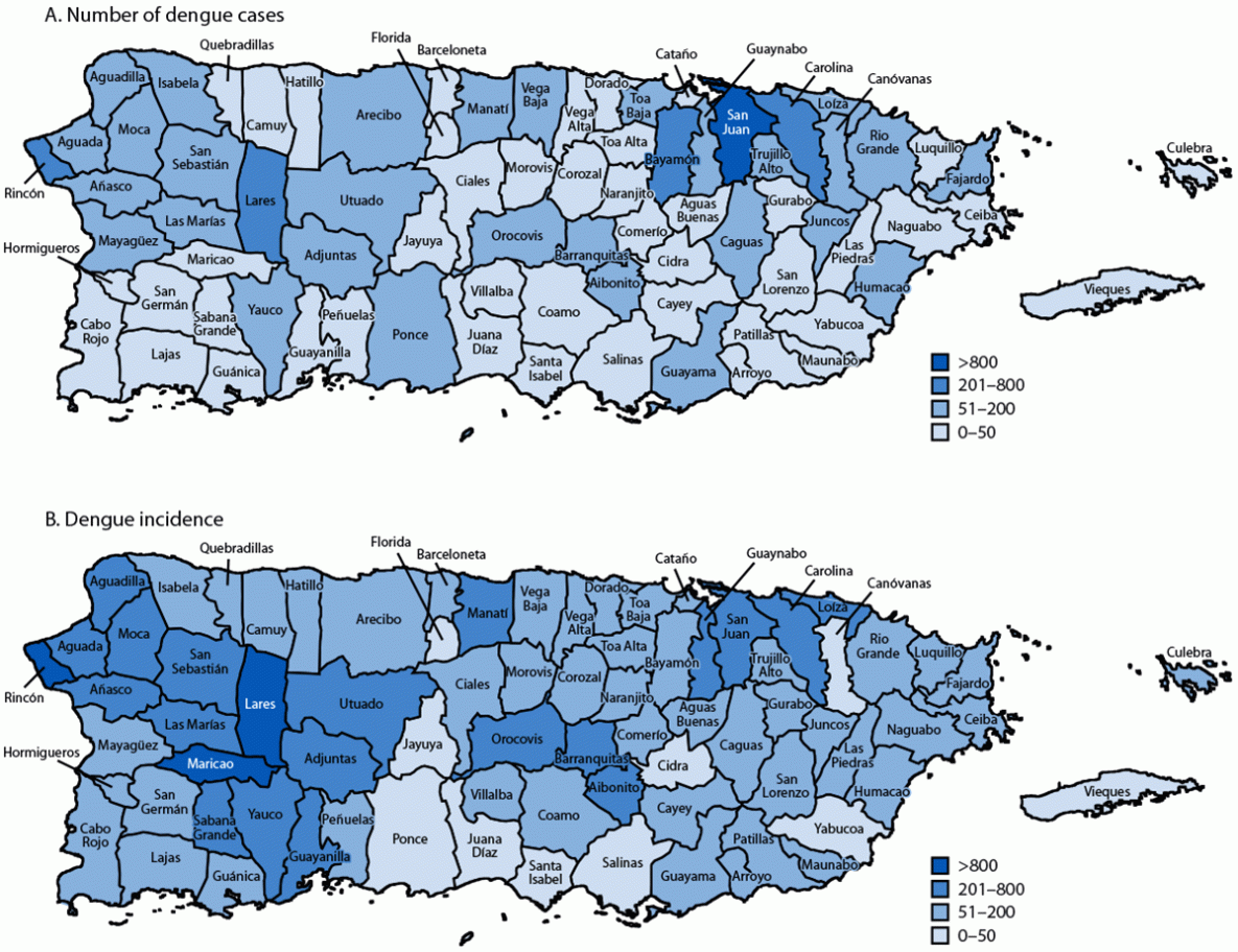Dengue Outbreak and Response — Puerto Rico, 2024 The figure is a series of two maps indicating the number of dengue cases and dengue incidence per 100,000 population, by municipality, in Puerto Rico during 2024.