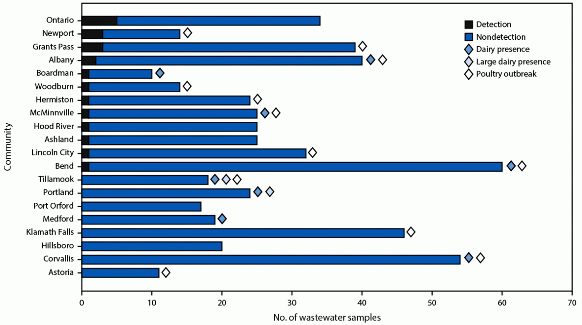 Avian Influenza A(H5) Subtype in Wastewater — Oregon, September 15, 2021–July 11, 2024 This figure is a histogram illustrating the number of wastewater samples tested for avian influenza A(H5), communities within a county that have experienced a highly pathogenic avian influenza A(H5) poultry outbreak, and sewershed dairy presence or large dairy presence in Oregon during September 15, 2021–July 11, 2024.
