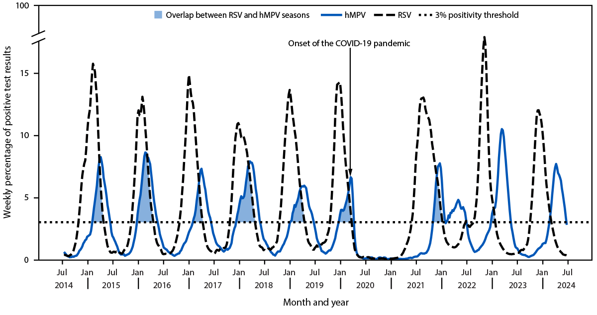 Human Metapneumovirus Seasonality and Co-Circulation with Respiratory Syncytial Virus — United States, 2014–2024 The figure is a line graph depicting the weekly percentage of positive test results for respiratory syncytial virus and human metapneumovirus in the United States, during July 2014–June 2024, using National Respiratory and Enteric Virus Surveillance System data.