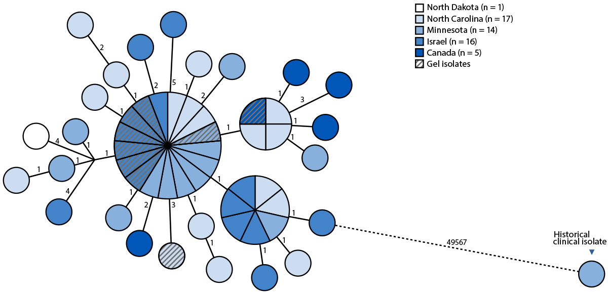 The figure is a bar graph illustrating the number of patients with genetically linked Paraburkholderia spp. isolated from clinical cultures, by date of initial specimen collection in Minnesota, North Carolina, North Dakota, Canada, and Israel during May 2023–April 2025.