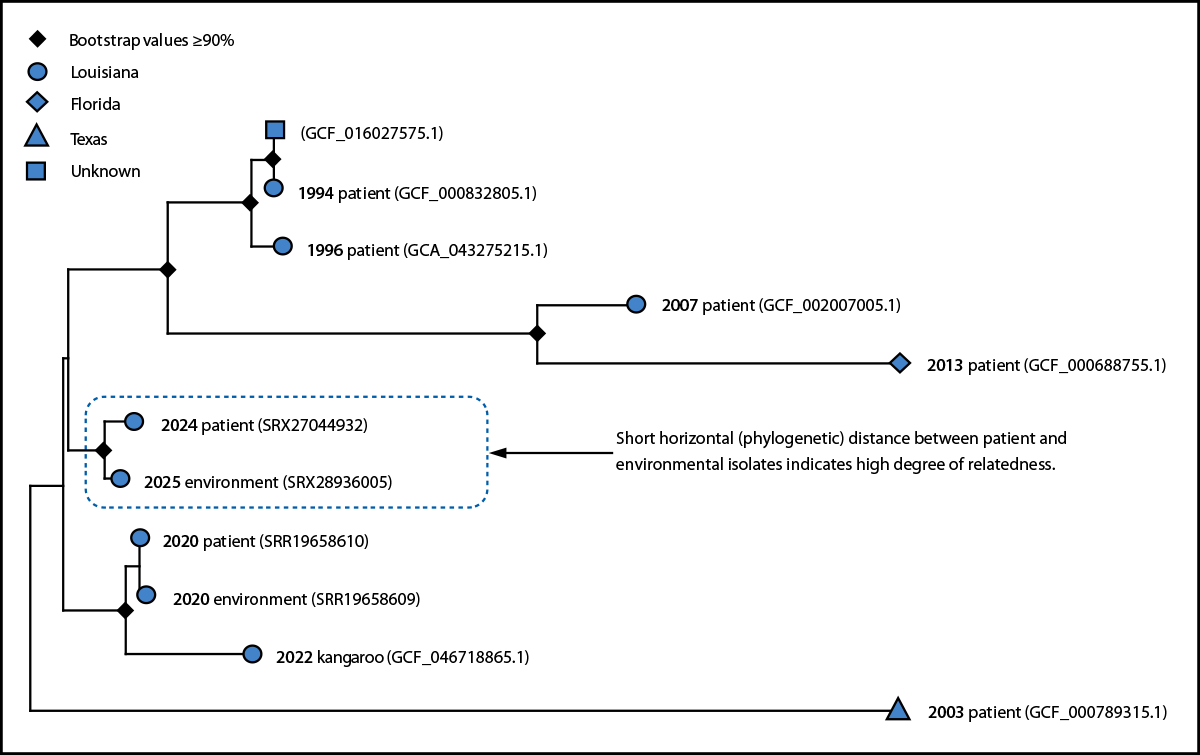 The figure is depicting a subpanel maximum likelihood phylogenetic tree indicating genetic distances among Bacillus tropicus isolates from patients with welder&rsquo;s anthrax, a zoo animal, and the environment in the United States during 1994&ndash;2025.