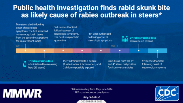 The image shows a herd of cows in a field with text that reads, &ldquo;Public health investigation finds rabid skunk bite as likely cause of rabies outbreak in steers.&rdquo; The image includes a timeline of events that occurred among steers on a Minnesota dairy farm during May 11-June 9, 2024.