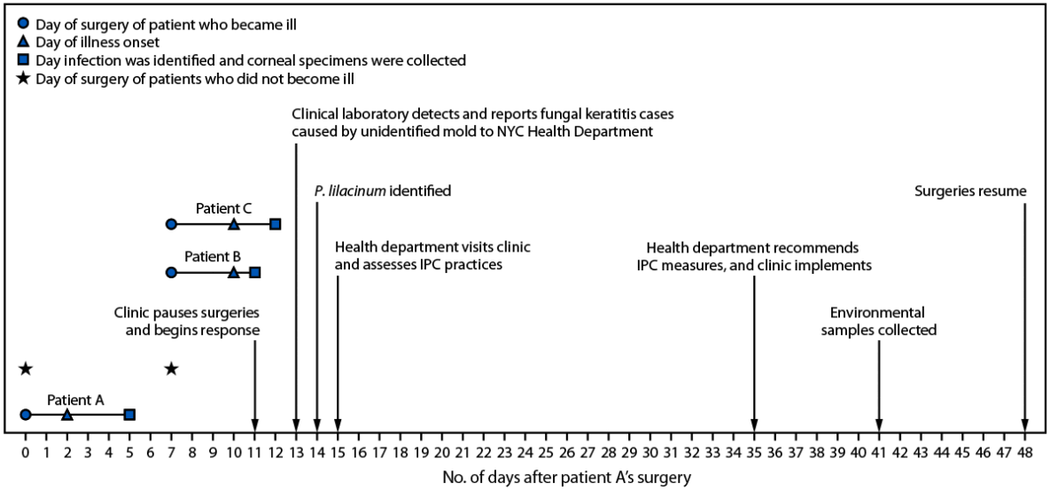 The figure is a timeline illustrating Purpureocillium lilacinum keratitis outbreak in New York City during December 2024&ndash;2025.