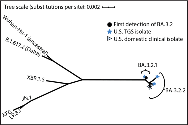 The figure is a phylogenetic tree of the SARS-CoV-2 spike glycoprotein gene from selected U.S. and global BA.3.2 isolates and reference strains during 2020&ndash;2026.