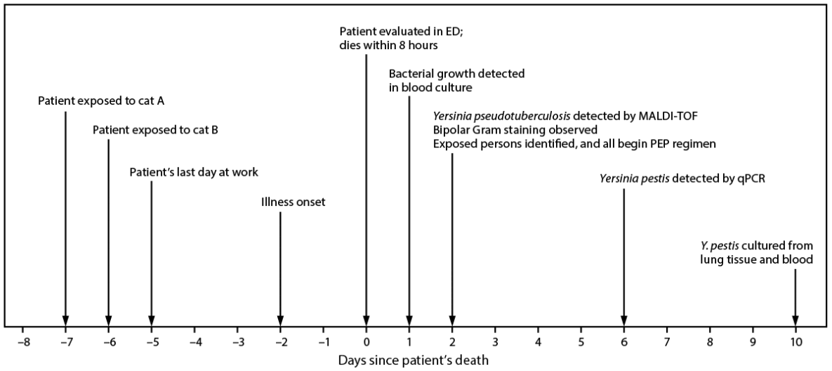 The figure is a timeline illustrating the events associated with a fatal case of pneumonic plague in Coconino County, Arizona, during July 2025.