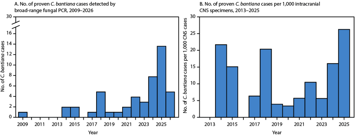 The figure comprises two histograms depicting the number of proven Cladophialophora bantiana cases detected by broad-range fungal polymerase chain reaction, and the number of C. bantiana cases per 1,000 intracranial central nervous system specimens submitted for the same assay, by year, in the United States during January 2009&ndash;July 2026.