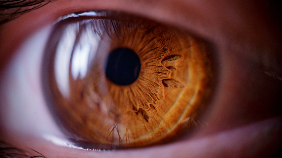 The image shows a close-up shot of an eye that’s brown.