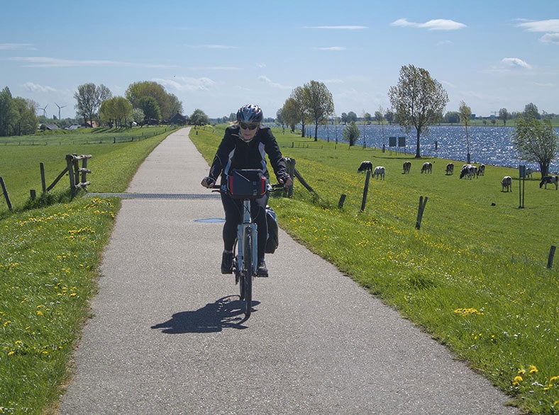 A woman riding her bike on a paved trail which runs by a lake and through a pasture of livestock.