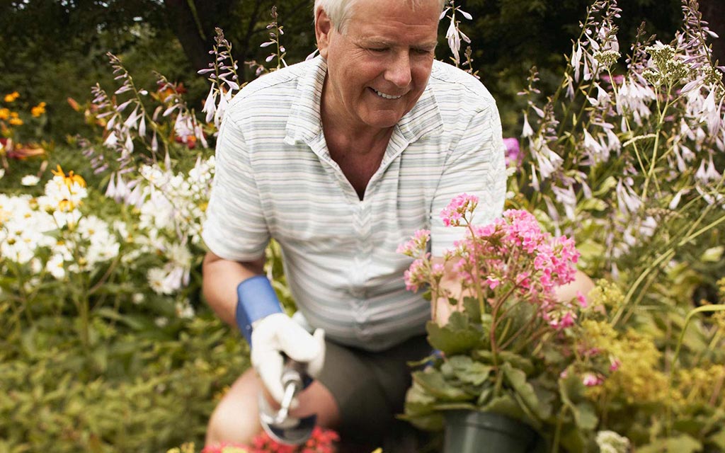 A man planting flowers in his garden.
