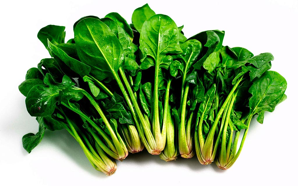 a bunch of fresh, uncooked spinach.