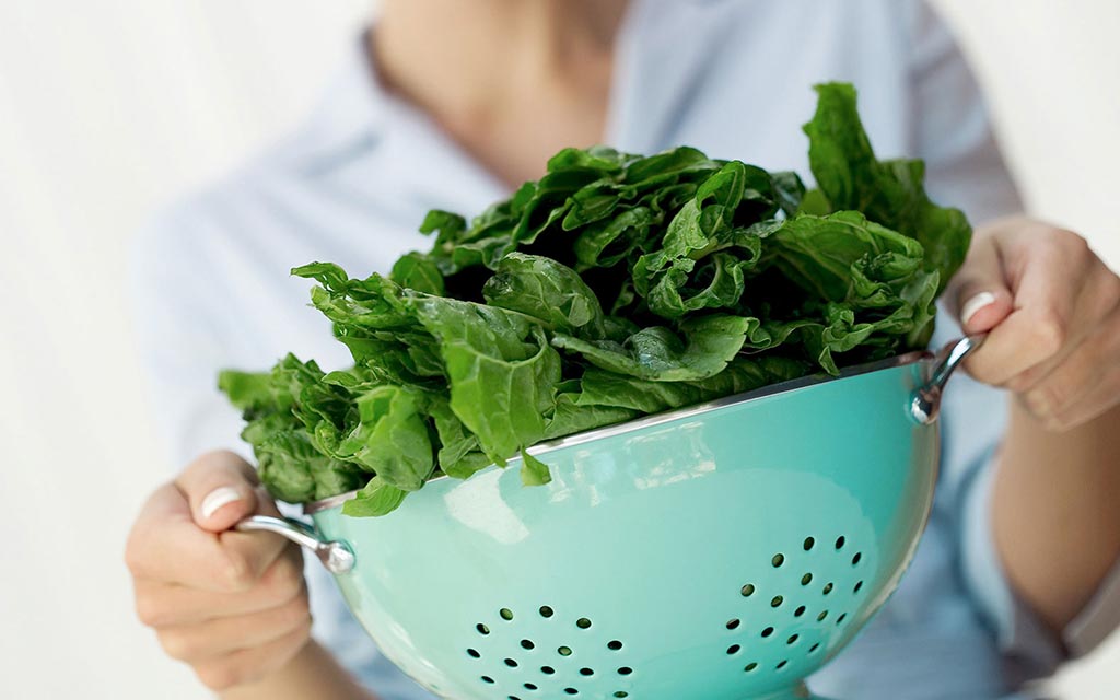 A person holding fresh raw spinach in a colander.