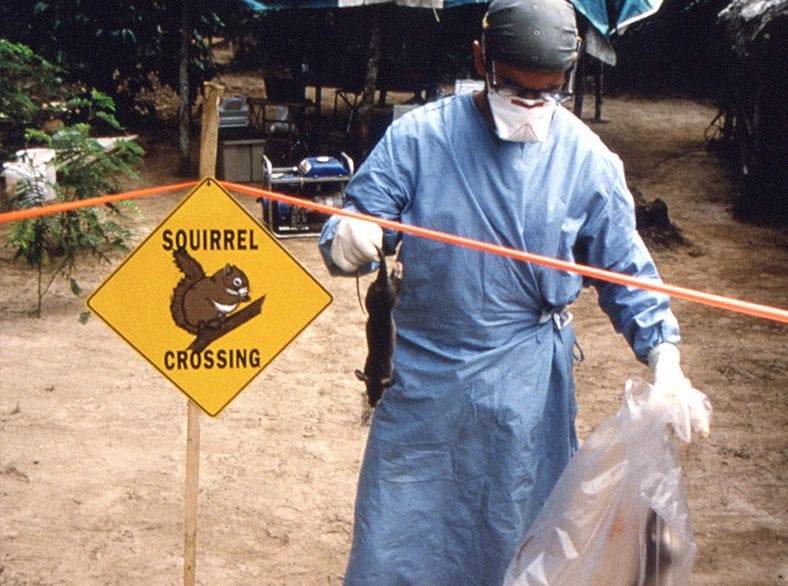 Epidemic Intelligence Service (EIS) in Africa holding a giant Gambian rat.
