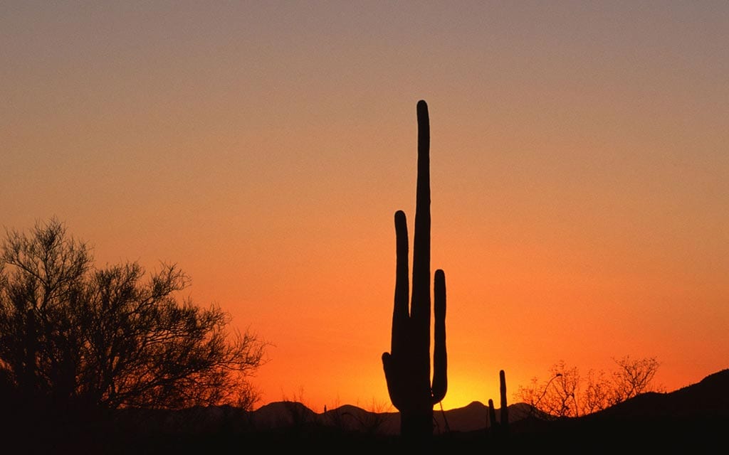 Sunsetting on the desert.