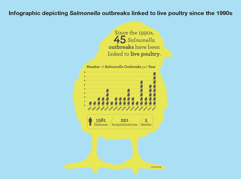 Table: Title: Infographic depicting Salmonella outbreaks linked to live poultry since the 1990s. Since the 1990s, 45 salmonella outbreaks have been linked to live poultry. Number of Salmonella outbreaks per year: 1991, 1; 1995, 1; 1996, 2; 1999, 2; 2000, 4; 2002, 1; 2003, 2; 2004, 2; 2005, 2; 2006, 4; 2007, 2; 2008, 1; 2009, 6; 2010, 2; 2011, 5; 2012, 8. Infographic: 1581 illnesses, 221 hospitalizations, 5 deaths.
