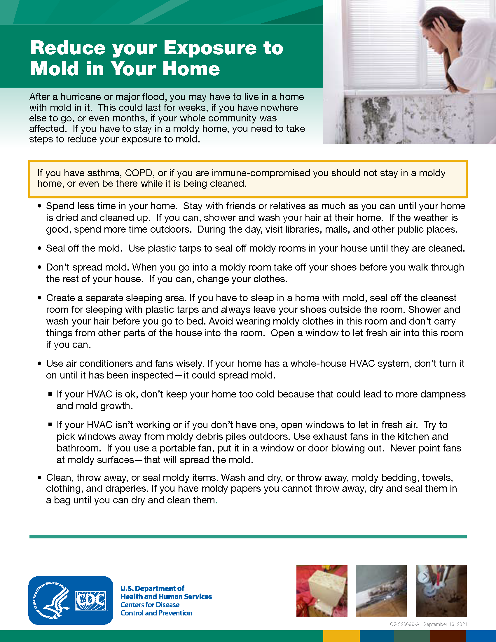 Reducing your exposure to mold