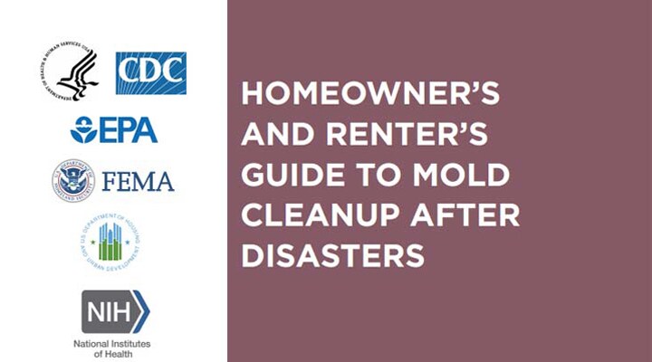 title page from mold cleanup guide for homeowners and renters
