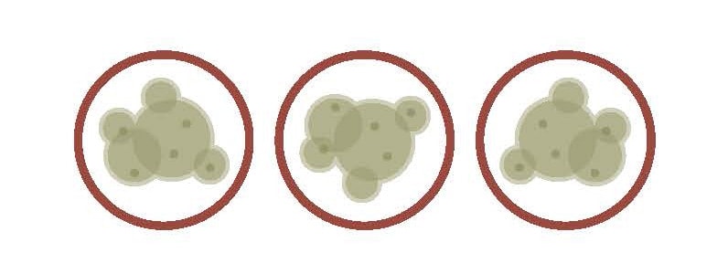 illustration of 3 mold colonies