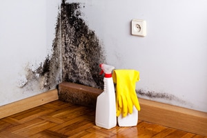 cleaning products and rubber gloves in a moldy corner of a room