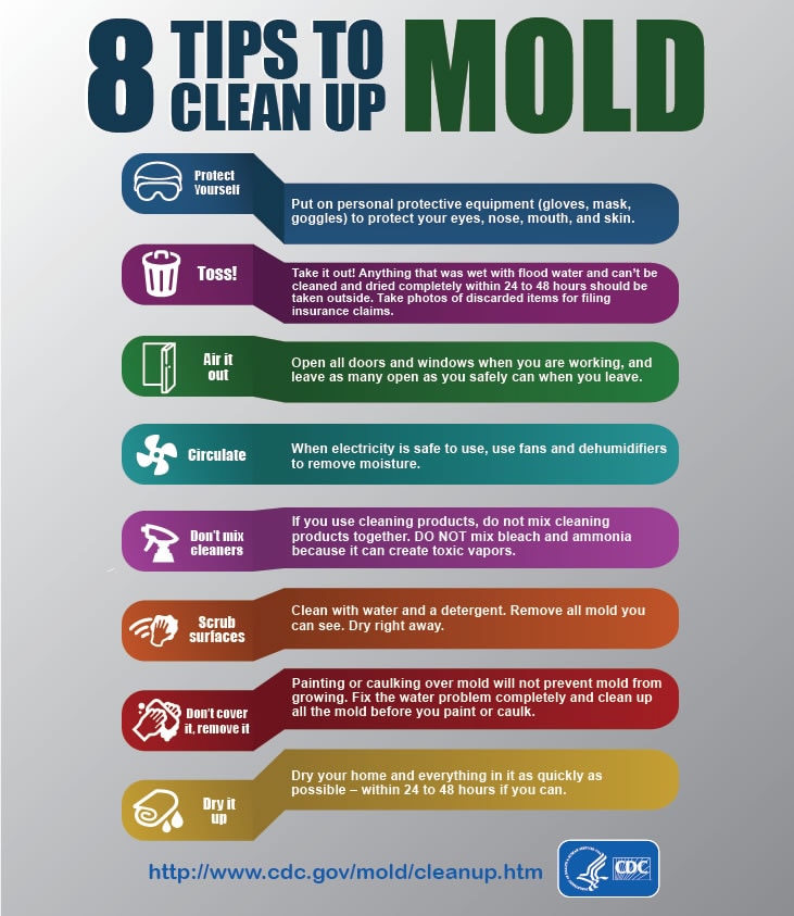 How do you prevent mold in a safe?