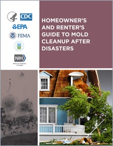 Homeowner's and Renter's Guide To Mold Cleanup After Disasters