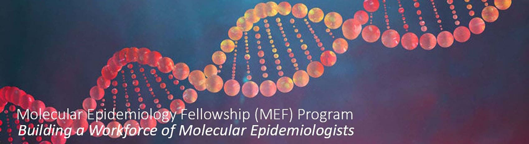 Molecular Epidemiology Fellowship