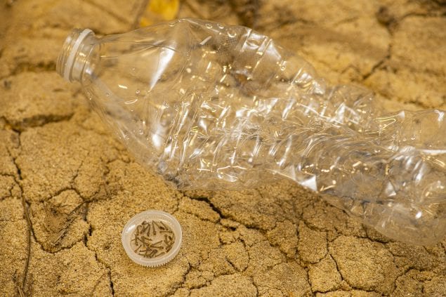 Mosquito larvae in a plastic bottle cap.