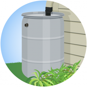 Illustration of a covered rain barrel to keep mosquitoes out.