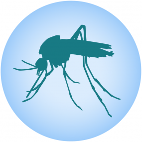 Illustration of a mosquito silhouette.