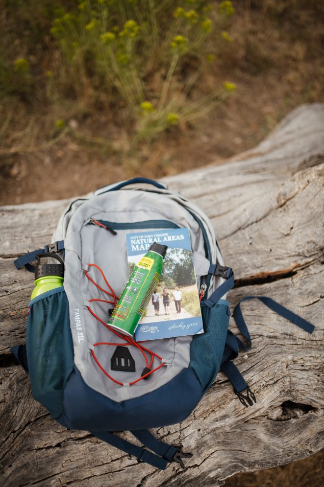 Some items needed for a day hike-water, insect repellent, and map