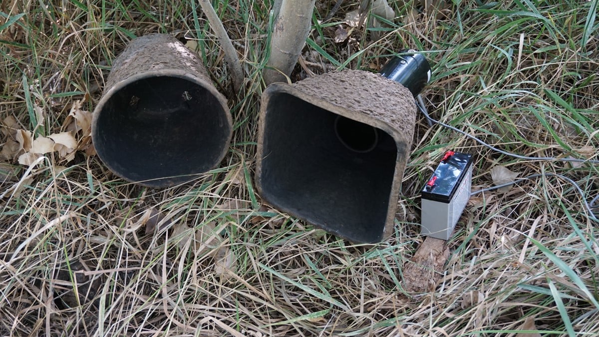 Photo of two resting traps to collect mosquitoes rest in high grass.