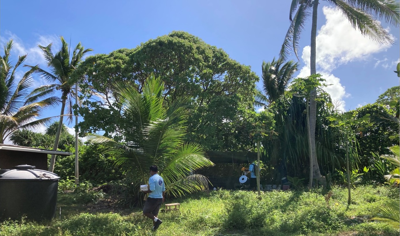 Two people walk through a lush tropical area carrying equipment.