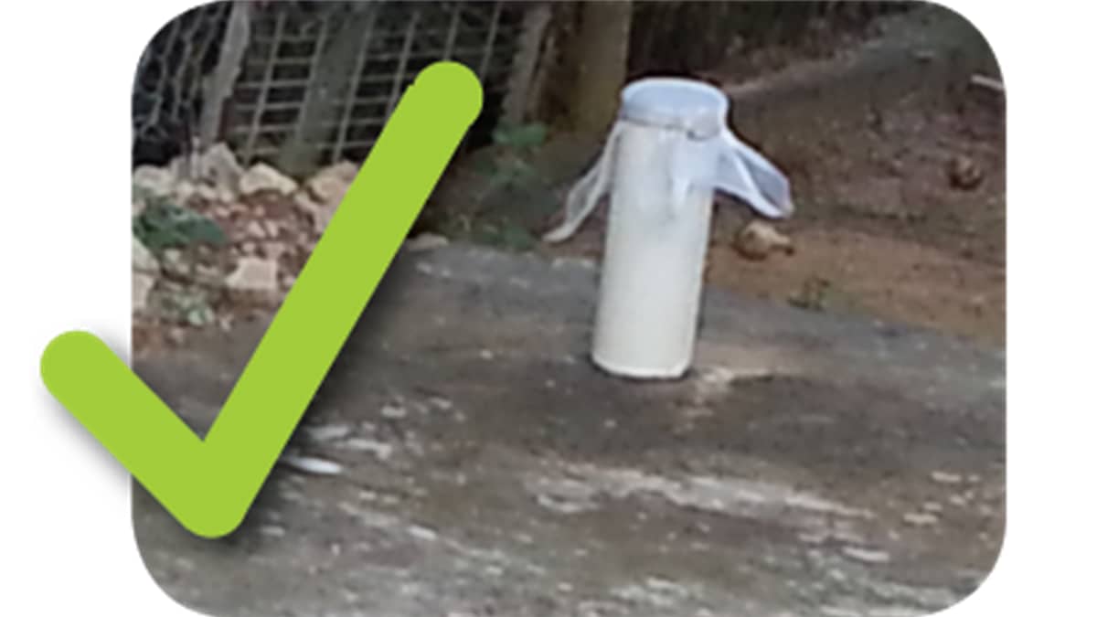 Septic tank ventilation pipe with a mesh cover. A checkmark is added.