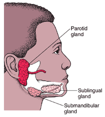 Mumps | For Healthcare Providers | CDC