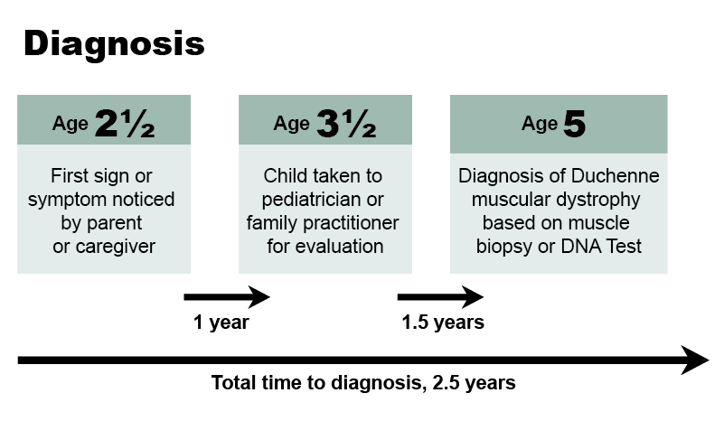 Graphic shows average age at diagnosis and average time to diagnosis for Duchenne muscular dystrophy.